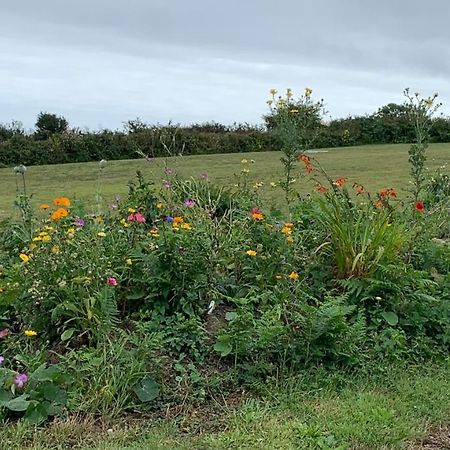 LudgvanPenzance, Private Annexe With Beautiful Views.アパートメント エクステリア 写真