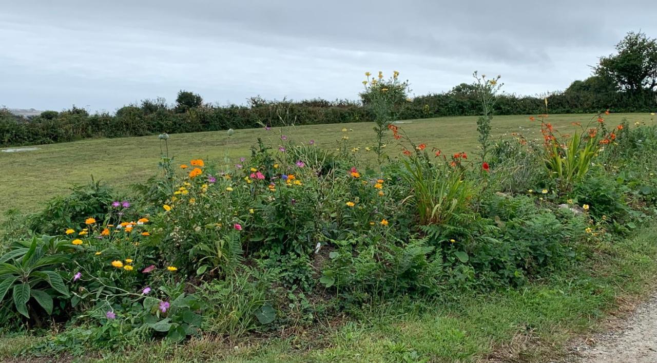 LudgvanPenzance, Private Annexe With Beautiful Views.アパートメント エクステリア 写真